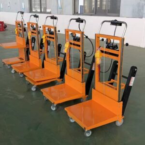 MONTASCALE Elettrico, motore: 1 kW, capacità di carico massima: 400 kg, Batteria ad alta capacità: 48V,48Ah, Utilizzo continuativo: 5-6 ore - immagine 1